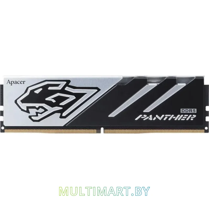 Оперативная память Apacer Panther 16GB DDR5 PC5-51200 (AH5U16G64C5527BAA-1)